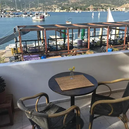 Vertigo Foca